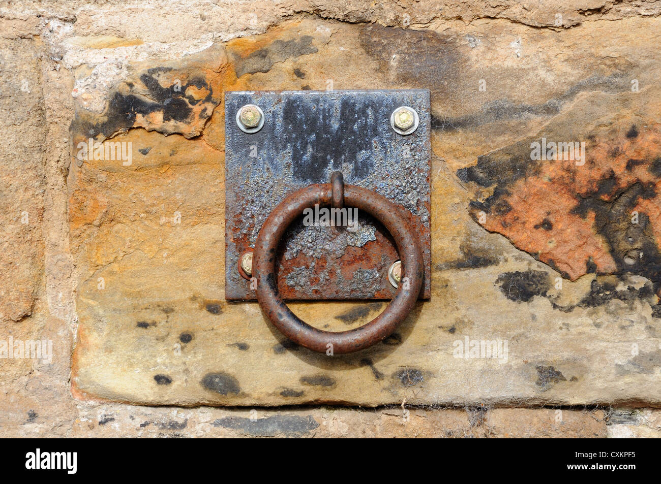 Horses tether point on the wall of stables courtyard buildings Stock Photo