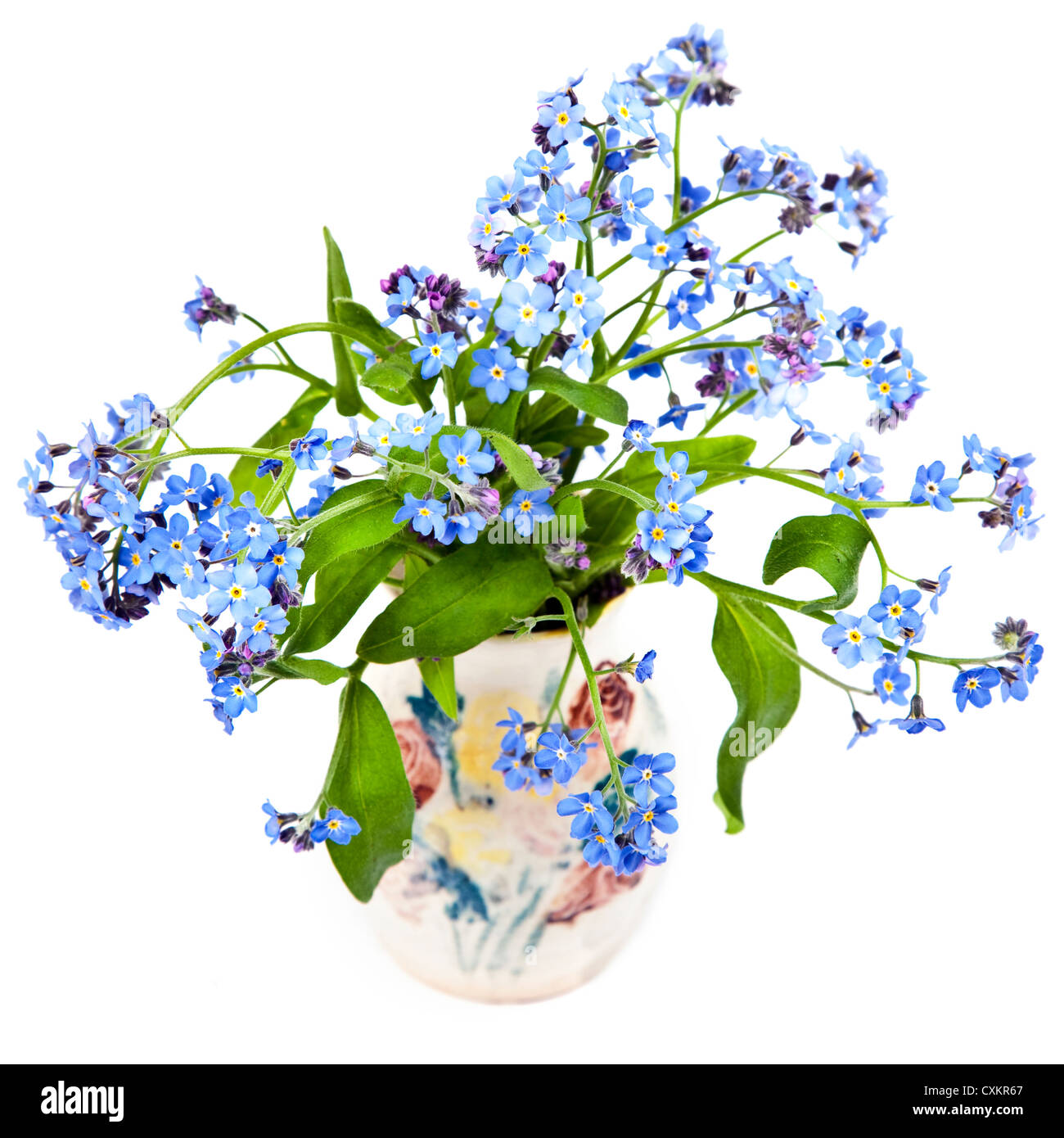 Pretty springtime forget-me-nots in a pottery vase. Stock Photo