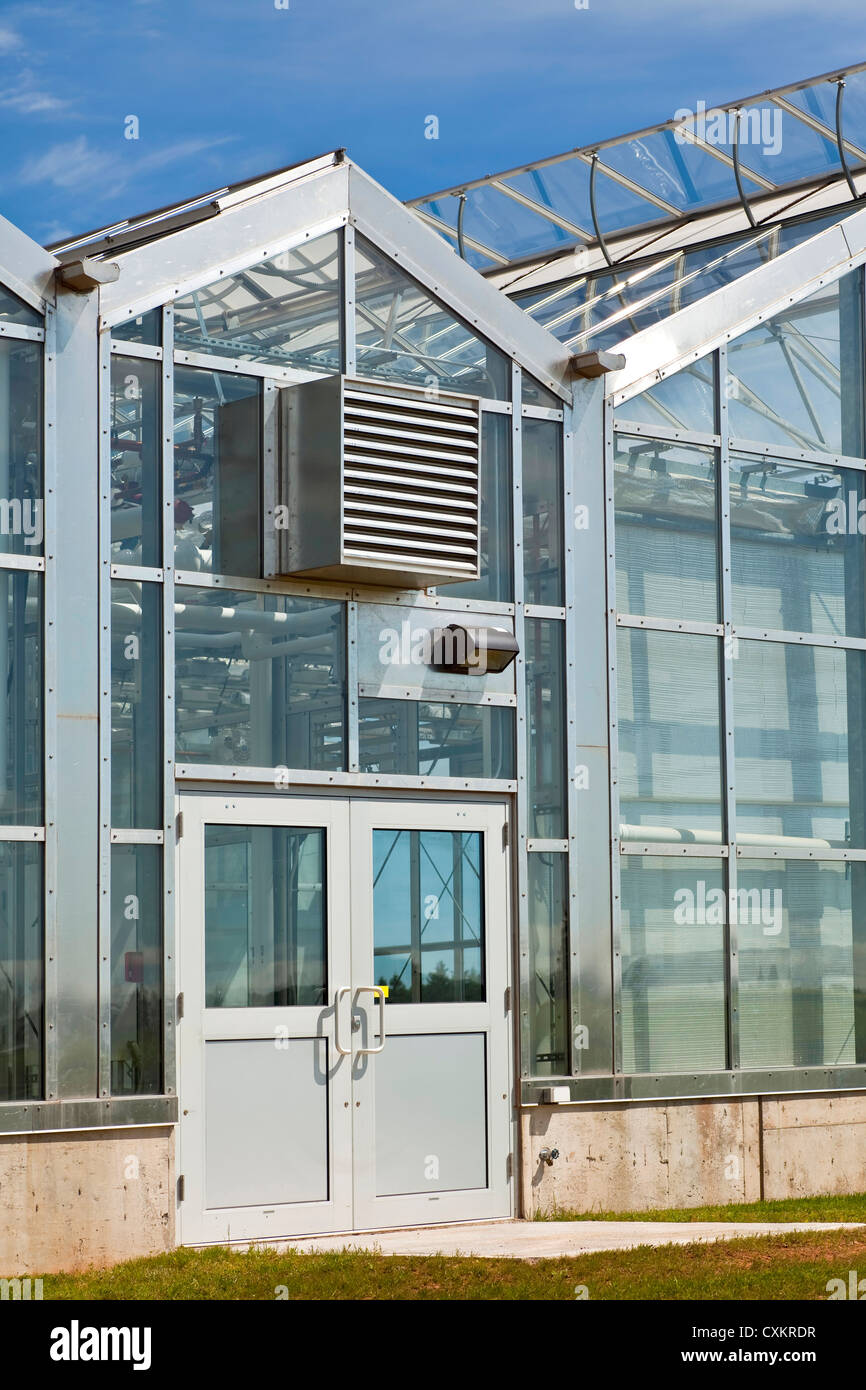 Large commercial glass greenhouse Stock Photo Alamy
