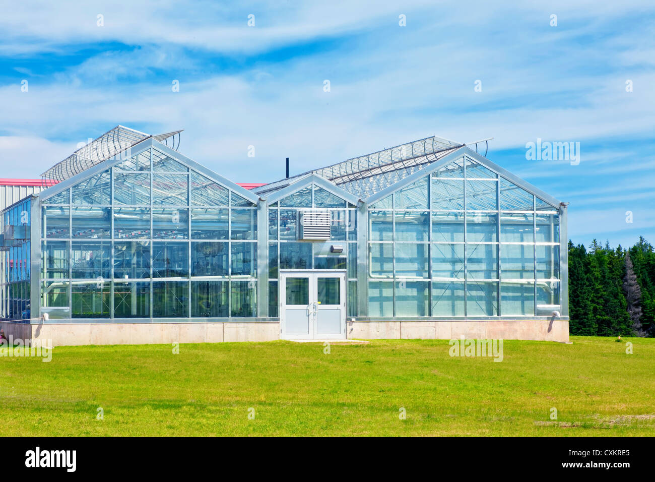 Large commercial glass greenhouse Stock Photo Alamy
