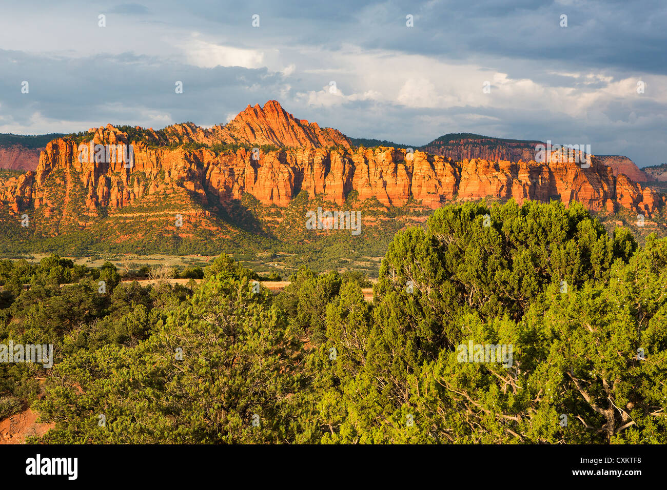 Zion National Park sunset, Utah, USA Stock Photo