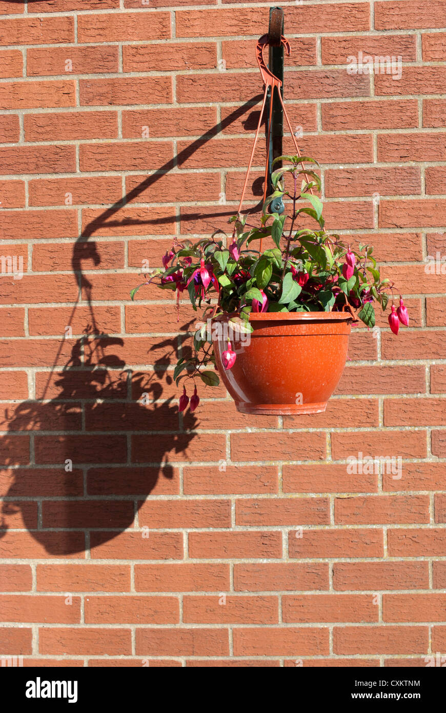 Hanging basket hi-res stock photography and images - Alamy
