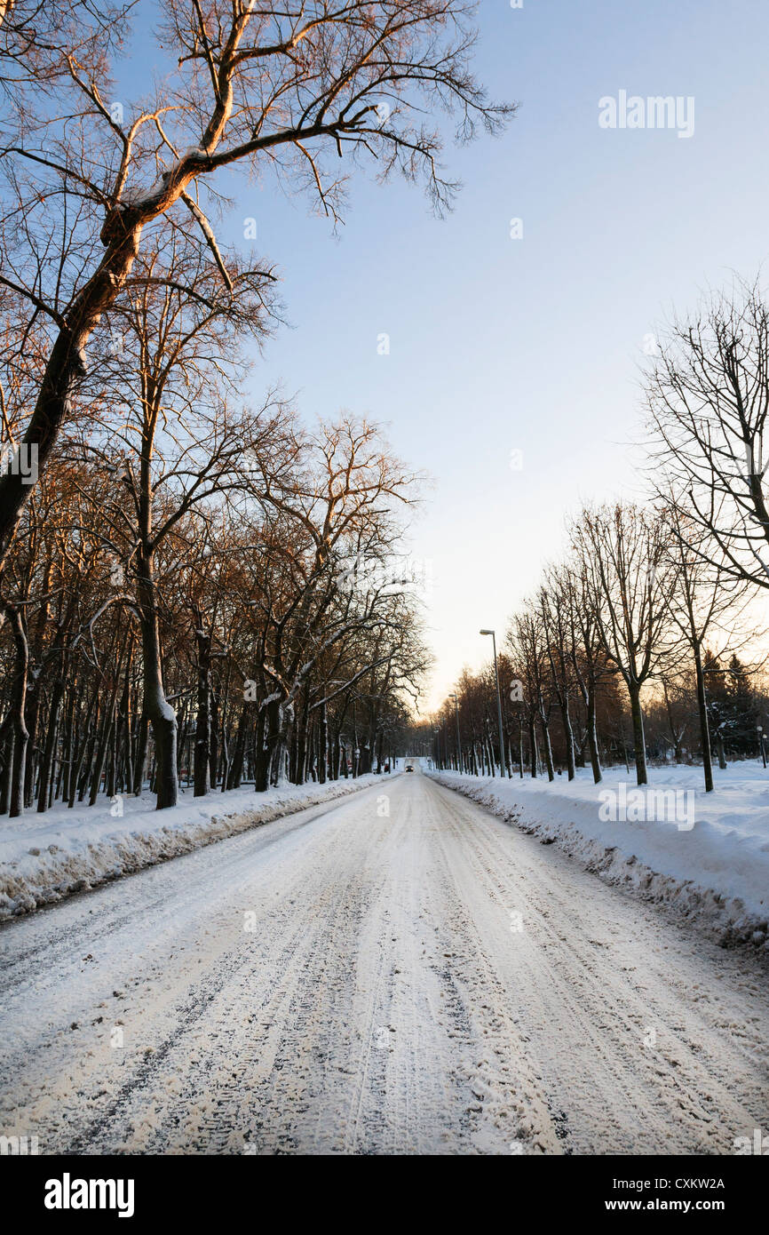 A car venturing to cross Kadriorg Park in winter. In 1722, more than half a thousand trees were planted in the park. Stock Photo