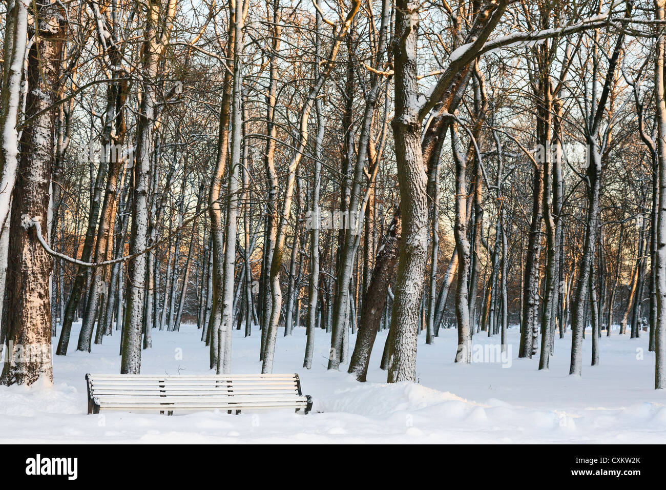 Bench covered in snow at Kadriorg Park, Tallinn Stock Photo