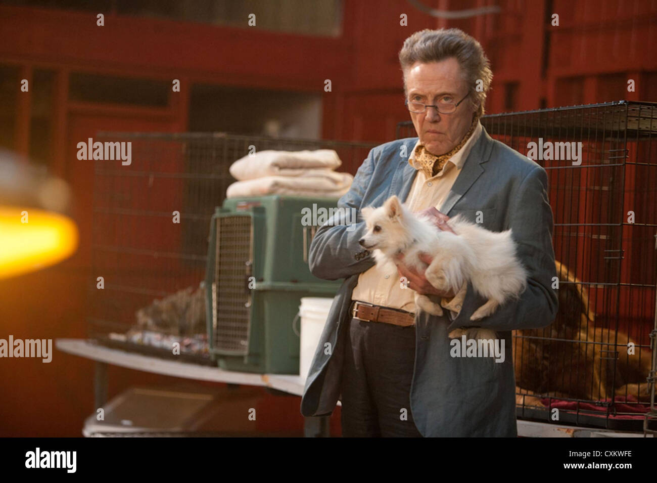 Christopher walken pet dog hi-res stock photography and images - Alamy Christopher walken pet dog hi-res stock photography and images - Alamy