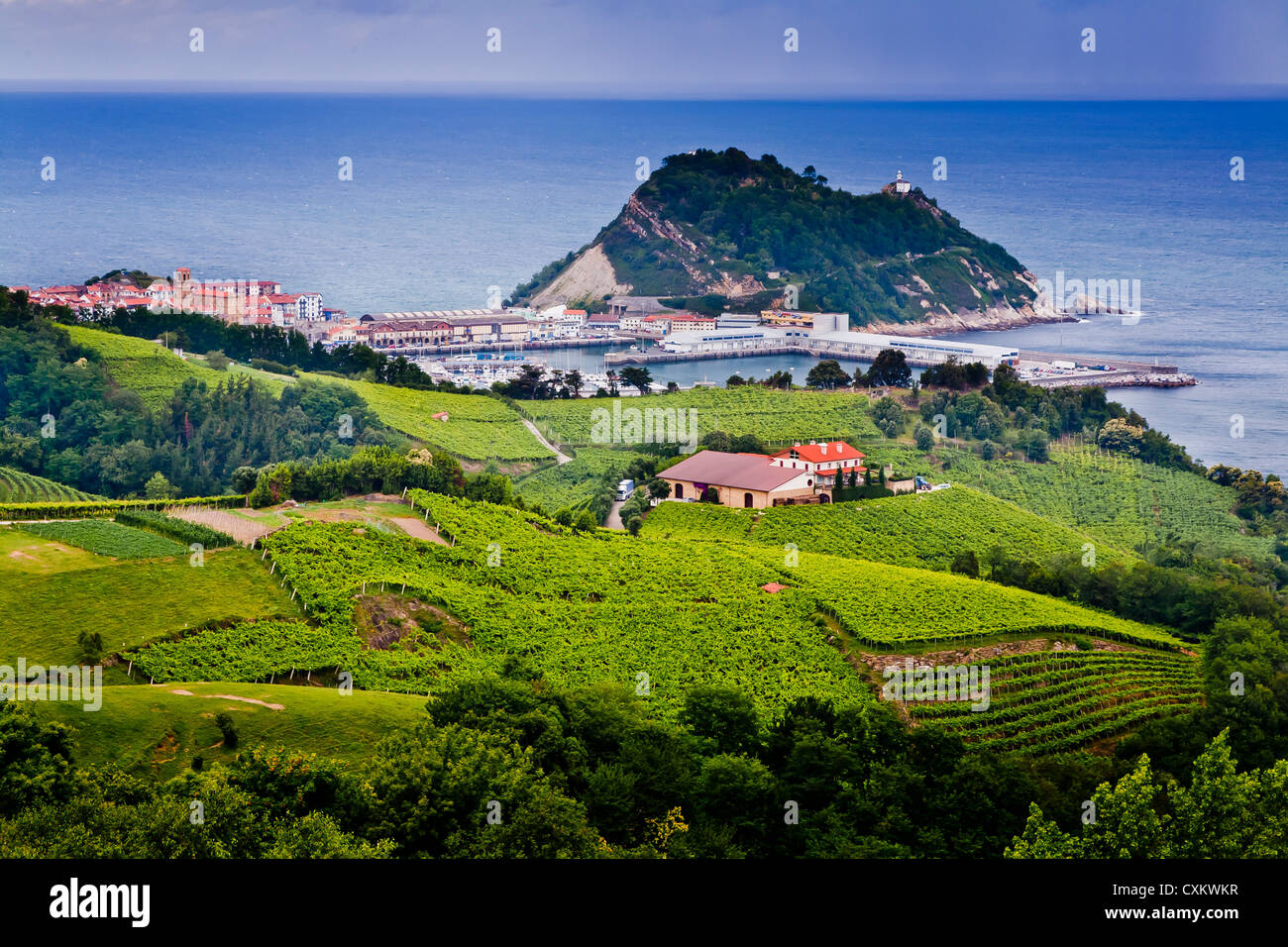 Village view and txakoli (white wine) crop on mountain hills. Getaria, Guipuzkoa. Basque Country, Spain. Stock Photo