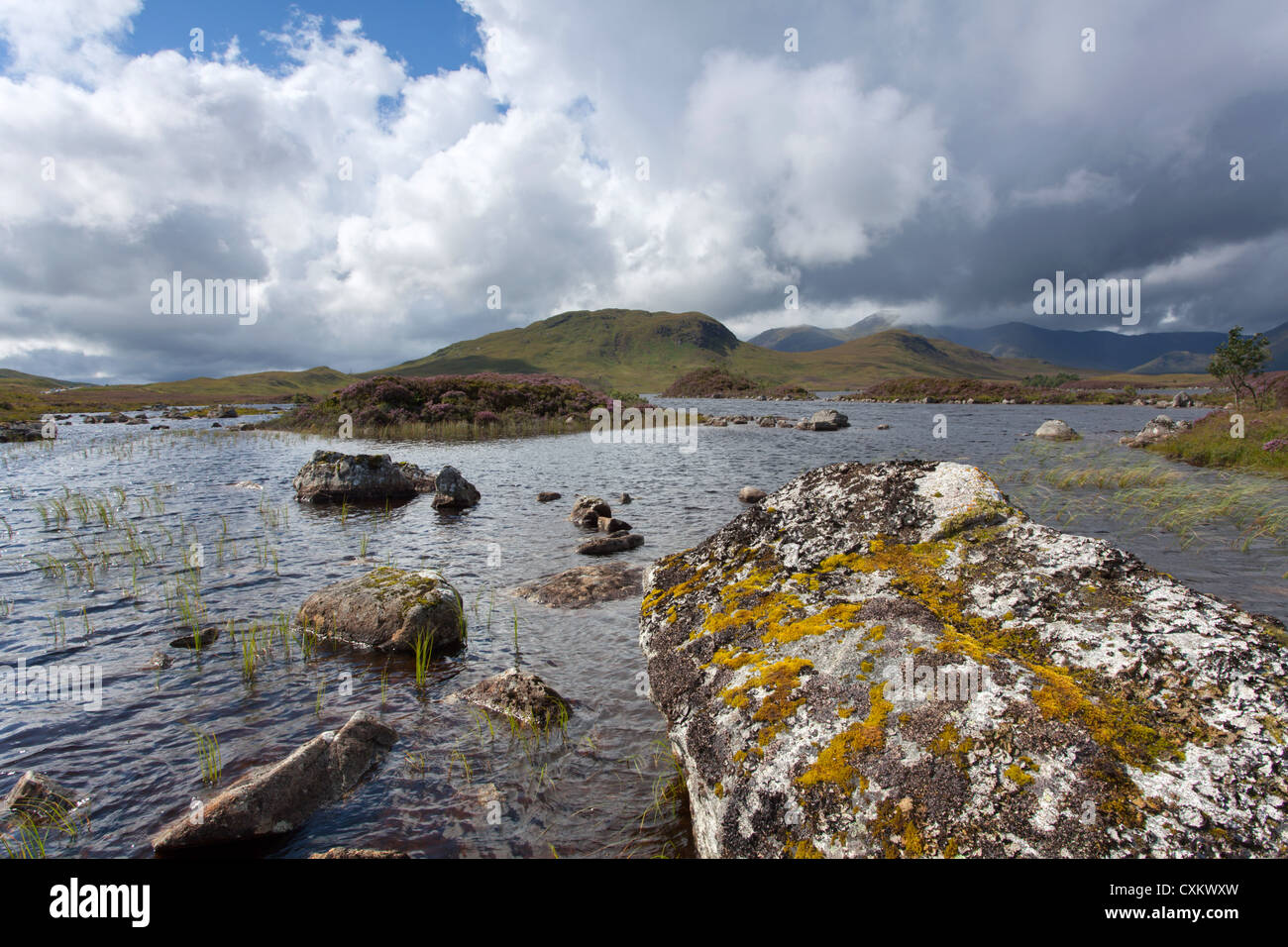 Loch Na H' Achlaise, lichen covered rock, Rannoch Moor, Argyll and Bute, Scotland, UK Stock Photo