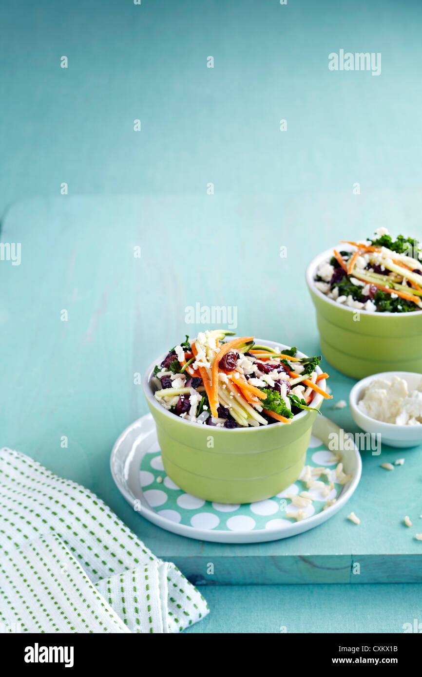 Kale, Carrot and Feta Salad with Cranberries Stock Photo Alamy