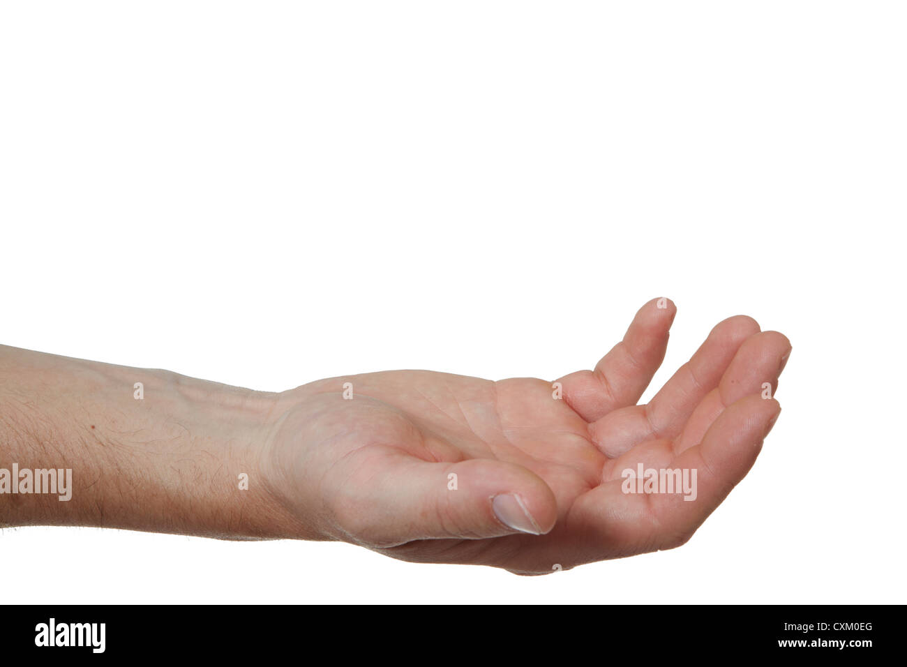 Holding / cupping / begging. Male hand gesture on plain white.  Cut Out Stock Photo