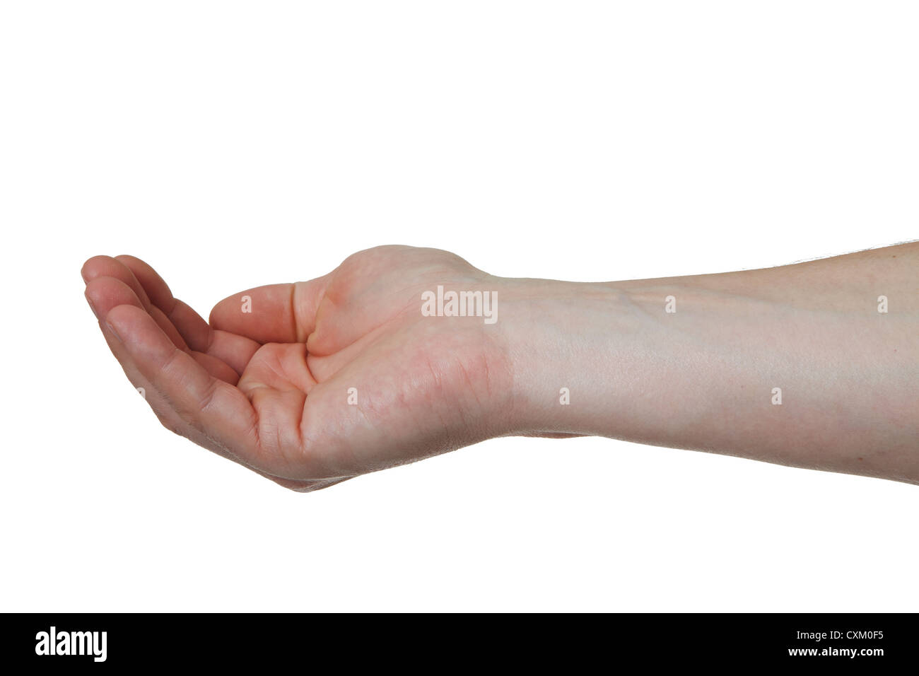 Holding / cupping / begging. Male hand gesture on plain white.  Cut Out Stock Photo