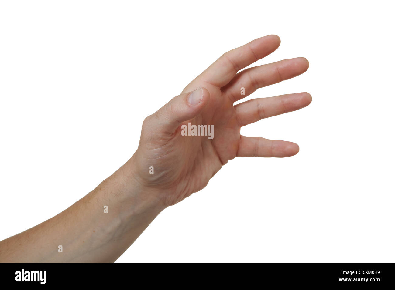 Throwing / reaching. Male hand gesture on plain white. Cut Out Stock