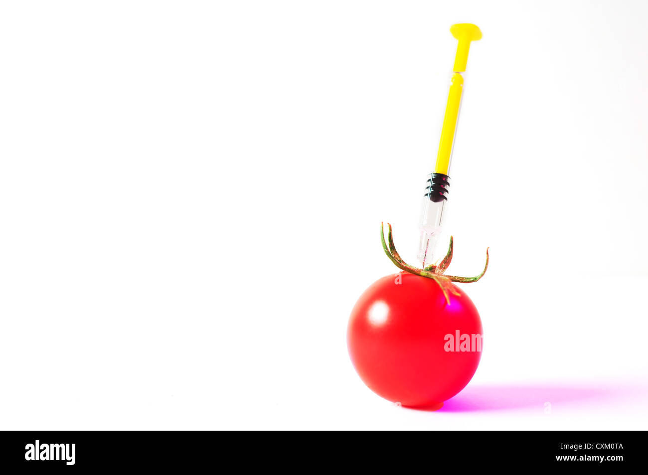 genetically modified food. a needle is injecting a fresh tomato Stock Photo