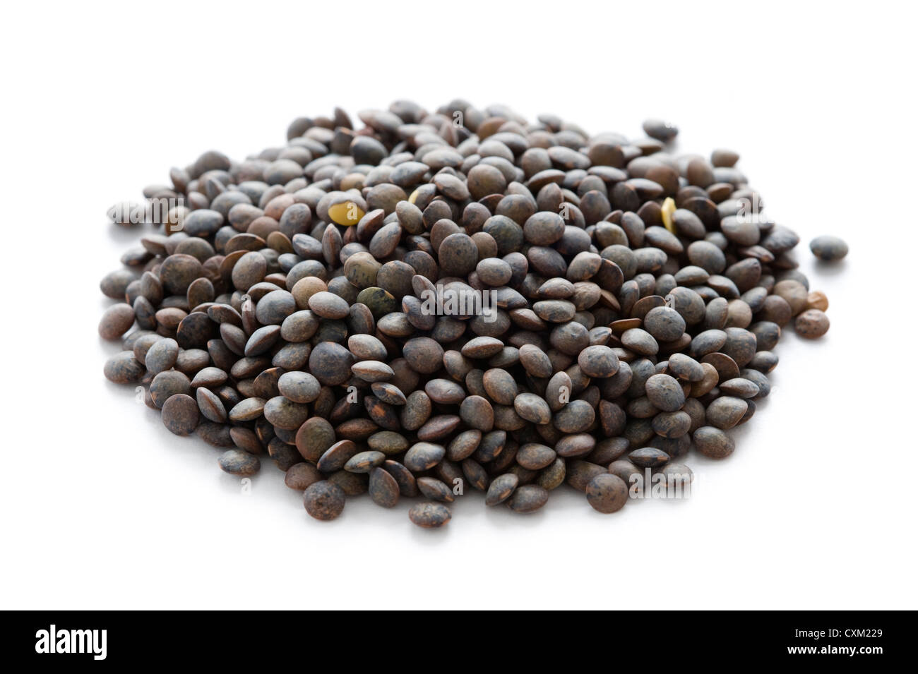 a heap of puy lentils or lentilles vertes isolated on white background Stock Photo