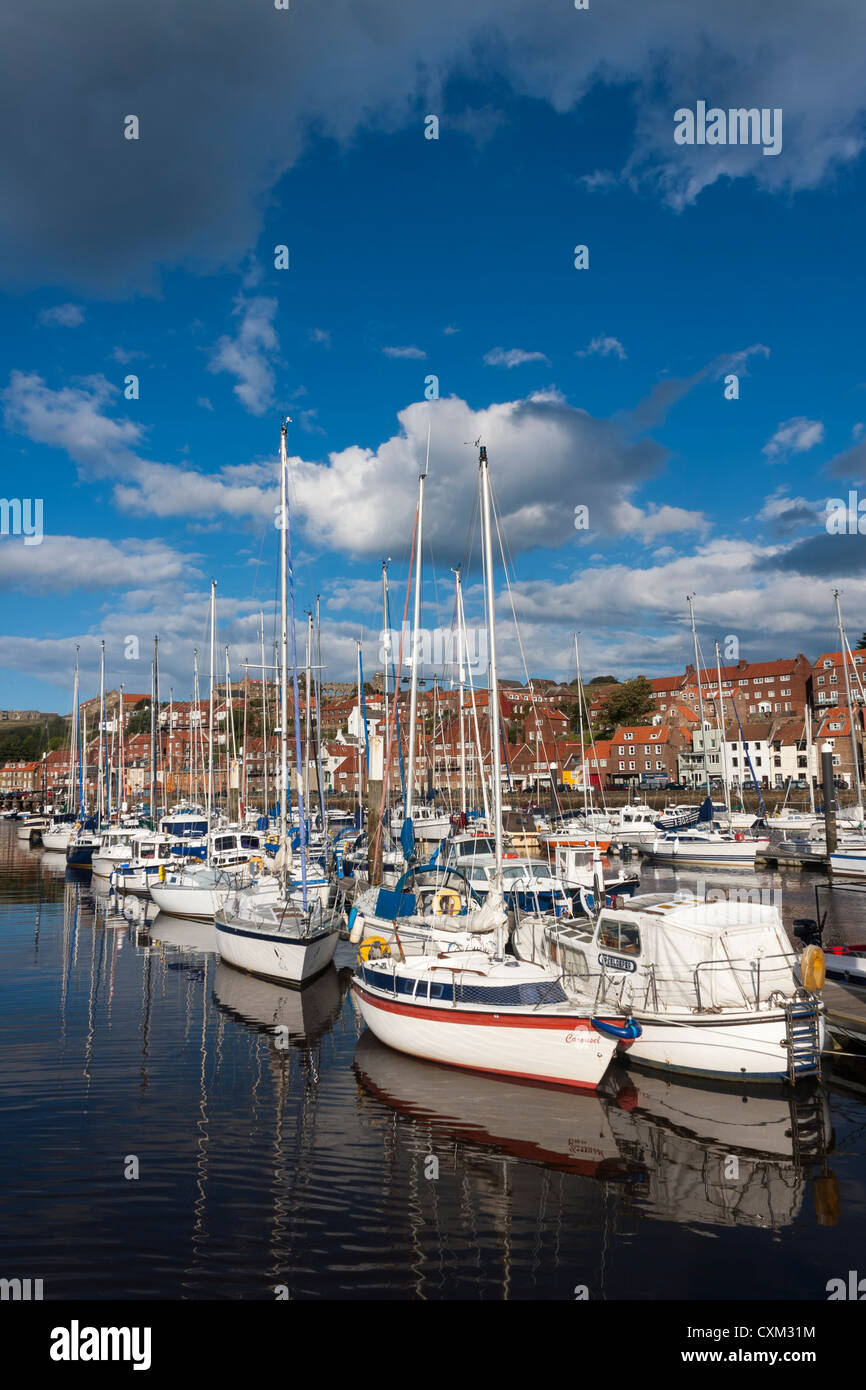 Boats and yachts moored in the Whitby marina Stock Photo - Alamy