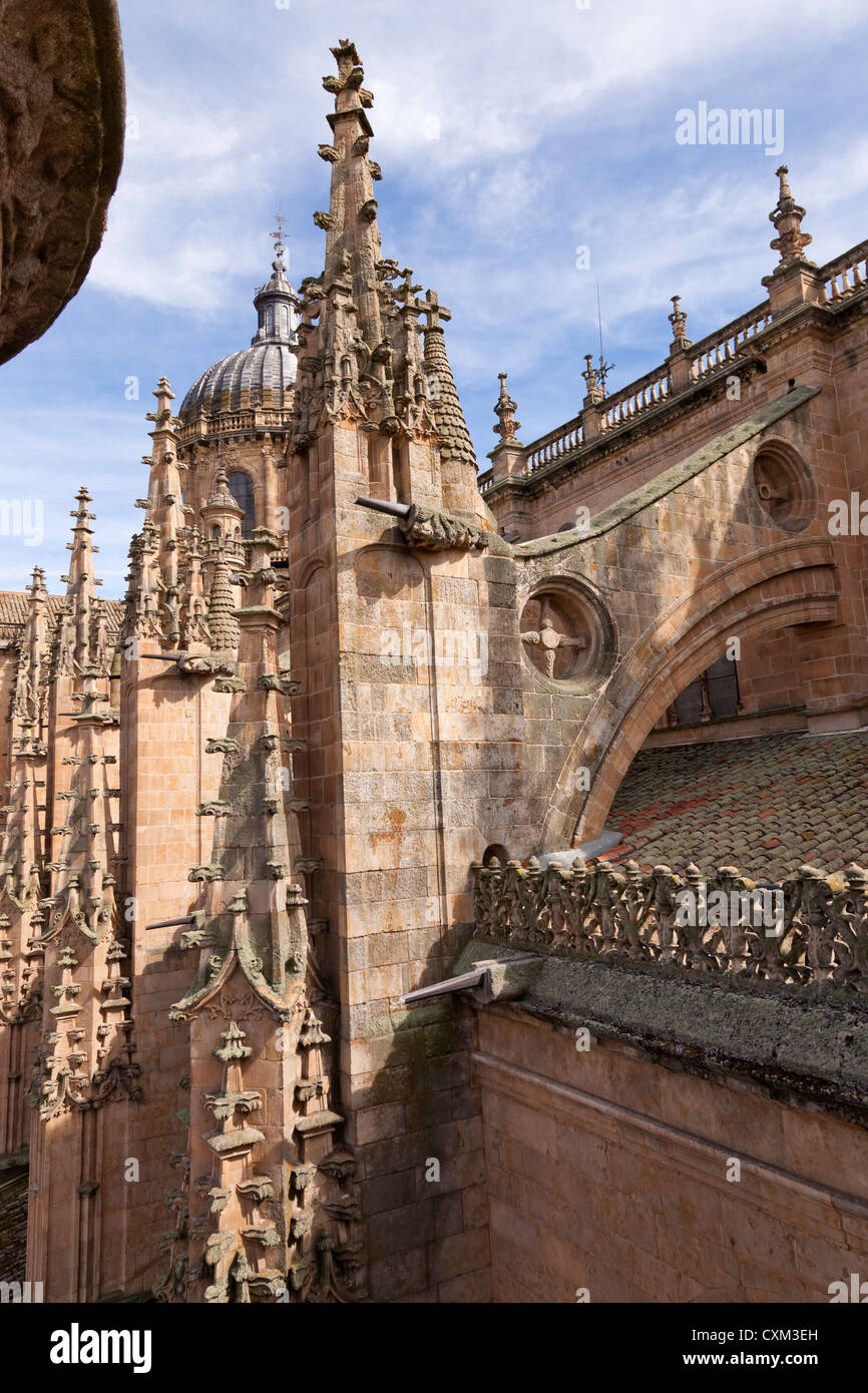 Exterior vertical view of the roofline architecture from the Old Cathedral (Catedral Vieja),Salamanca, Castille Leon, Spain Stock Photo