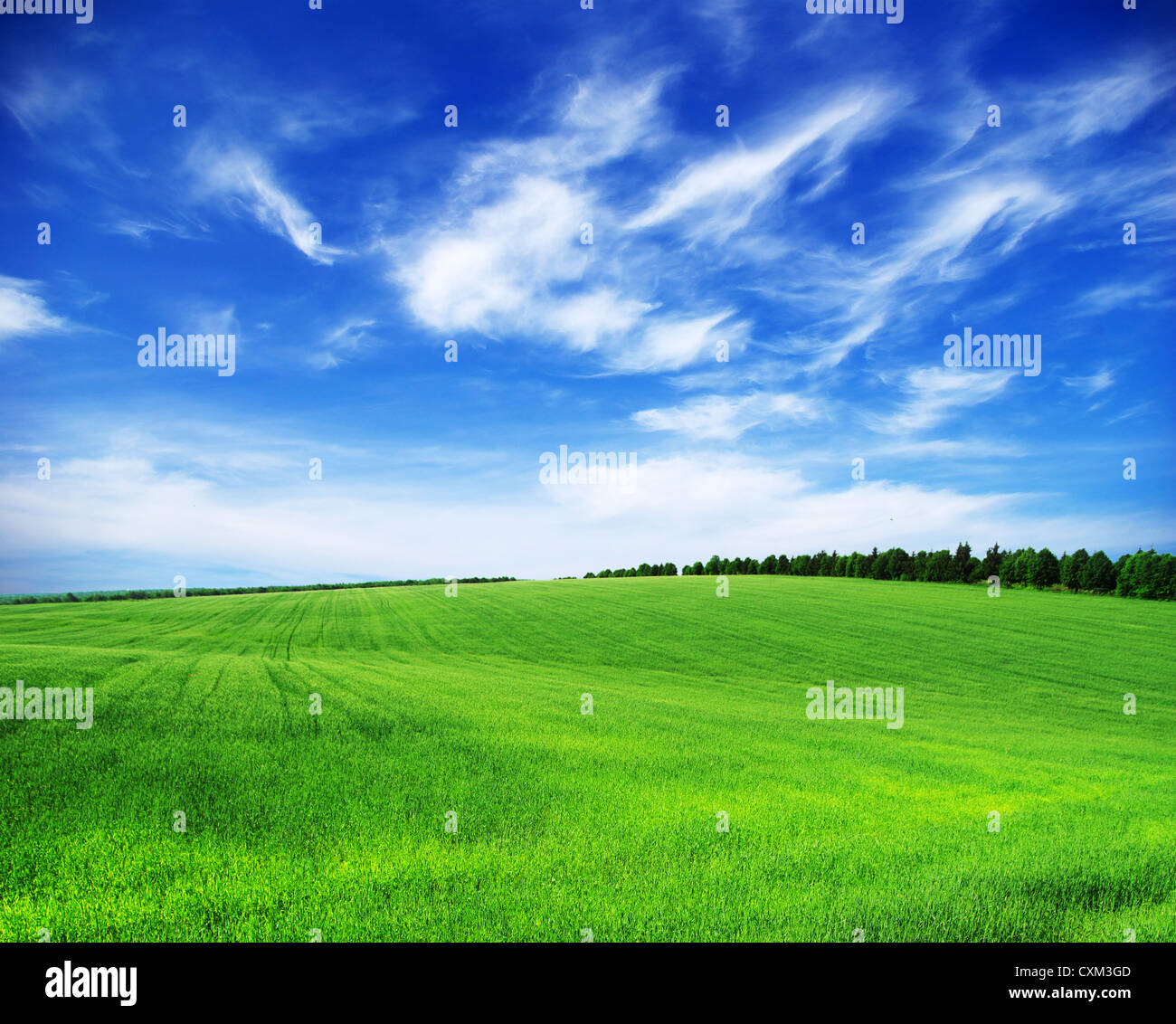 green field and blue sky Stock Photo - Alamy
