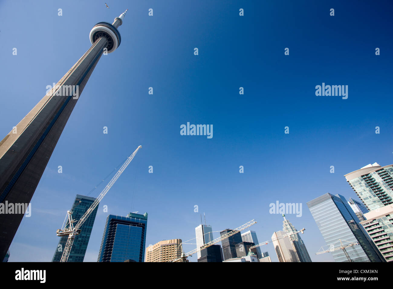 The CN Tower dwarfs nearby buildings and skyscrapers in downtown Toronto Stock Photo