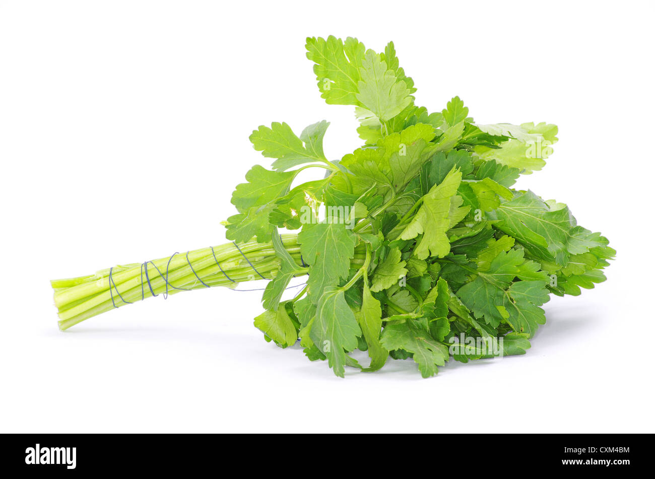 Bunch of fresh green parsley isolated on white background Stock Photo ...