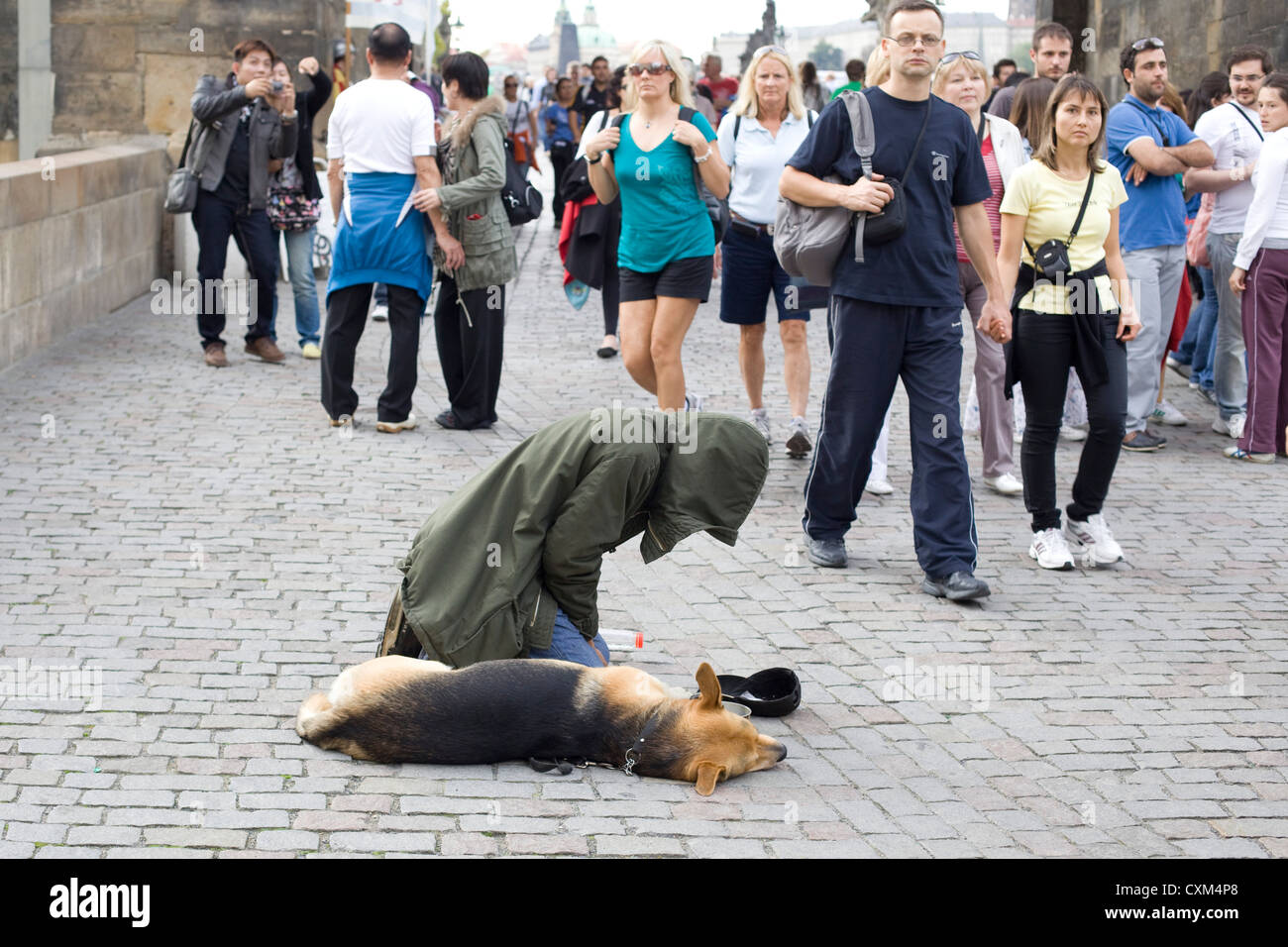Beggar on the streets of Prague with his dog Canis lupus familiaris Stock Photo