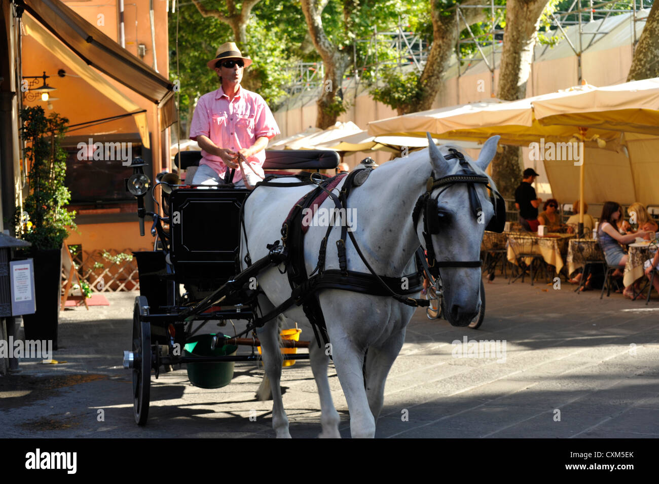 Man feeding Horse and carriage for tourist sightseeing in Lucca Tuscany Italy Stock Photo