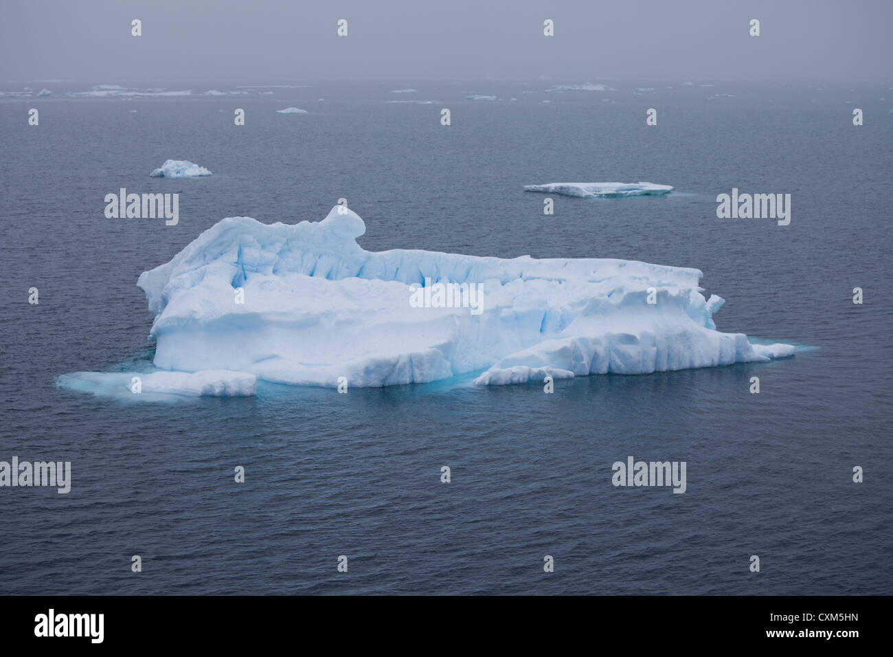 Ice floes in the Weddell Sea, Antarctica. Stock Photo