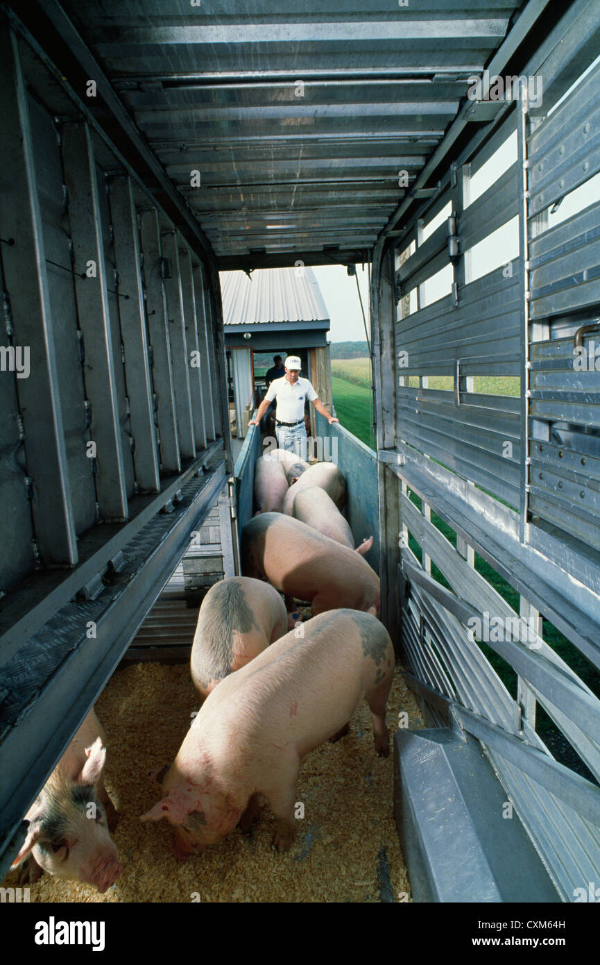 Loading chute hi-res stock photography and images - Alamy