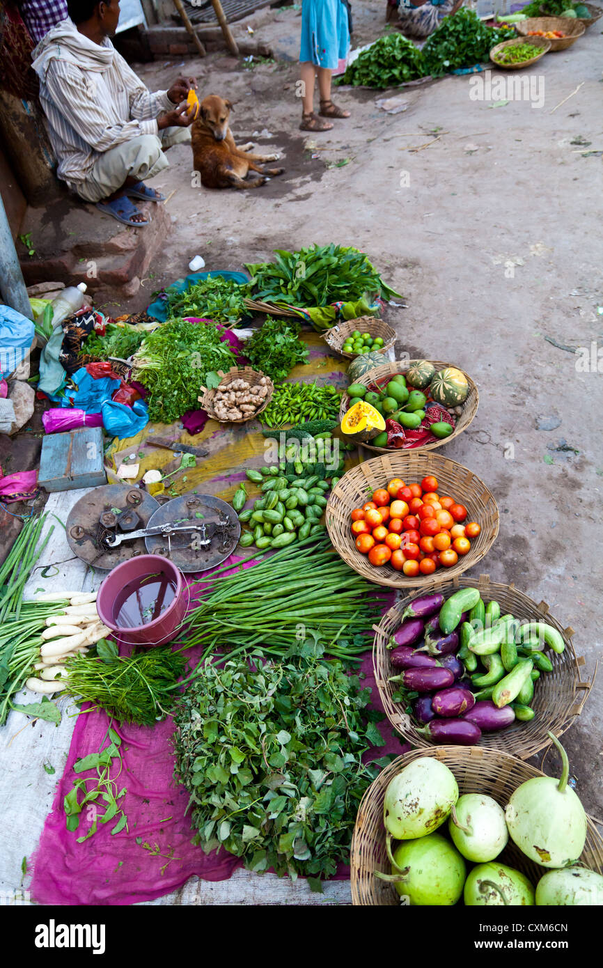 Vegetable Market in Varanasi Stock Photo Alamy