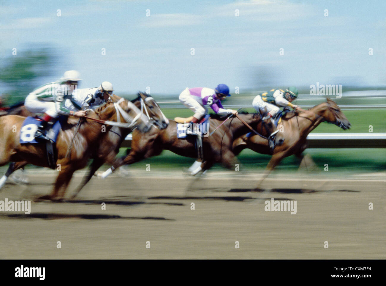 THOROUGHBRED RACING / KEENELAND RACE COURSE, LEXINGTON, KENTUCKY Stock