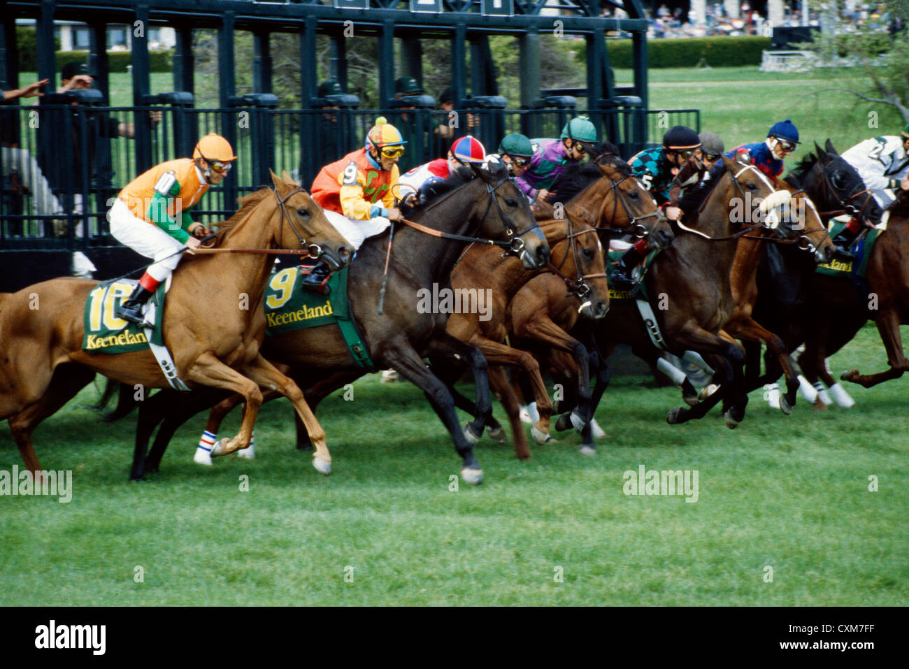 THOROUGHBRED HORSE RACING AT THE STARTING GATE / KEENELAND RACE COURSE, LEXINGTON KENTUCKY Stock Photo
