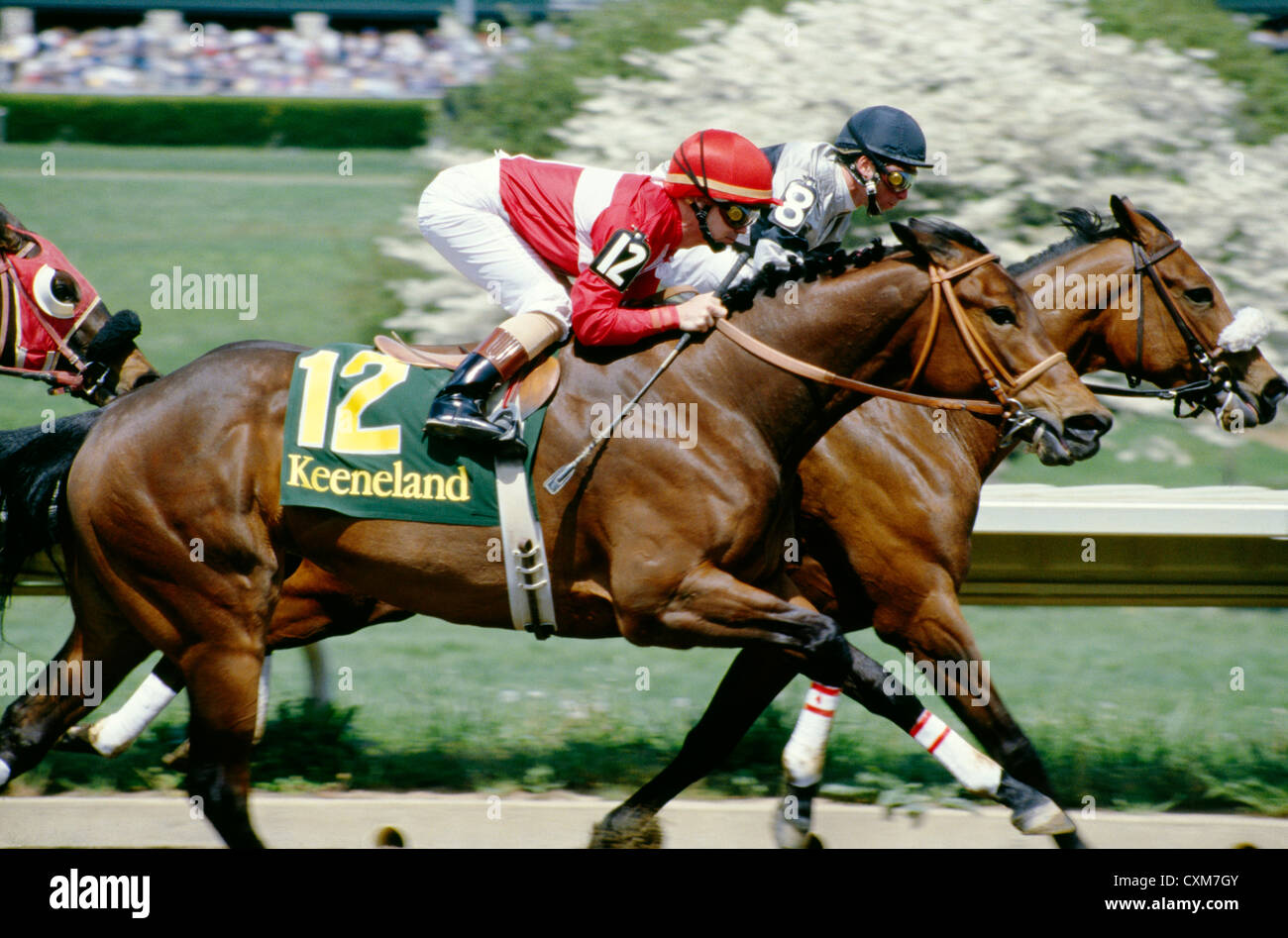 THOROUGHBRED HORSE RACING / KEENELAND RACE COURSE, LEXINGTON, KENTUCKY Stock Photo