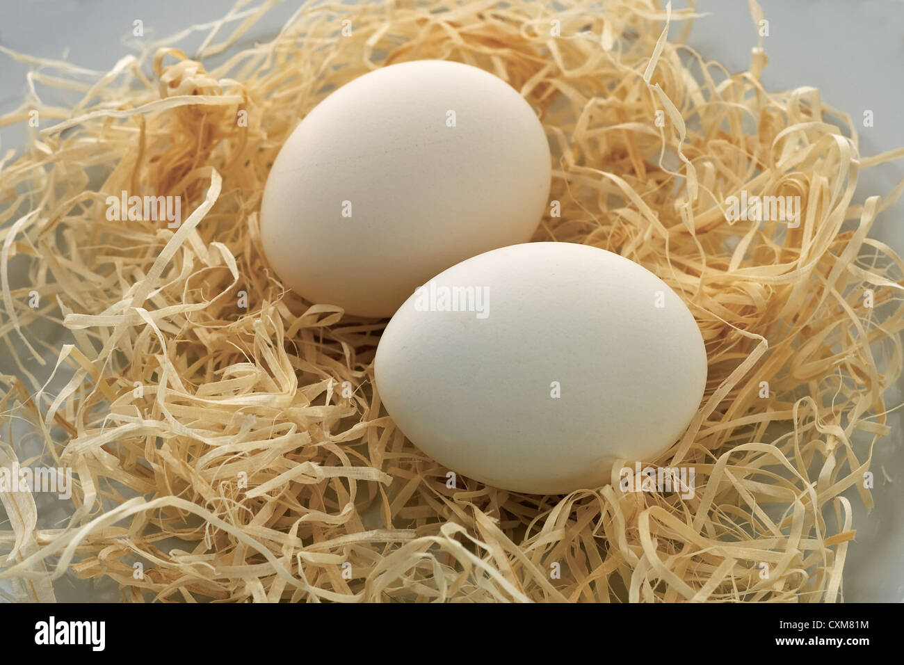 egg, shavings, straw, white, food, raw, ingredient, protein, boiled, albumen, fragile, concept, nutritious, natural, foodstuff, Stock Photo