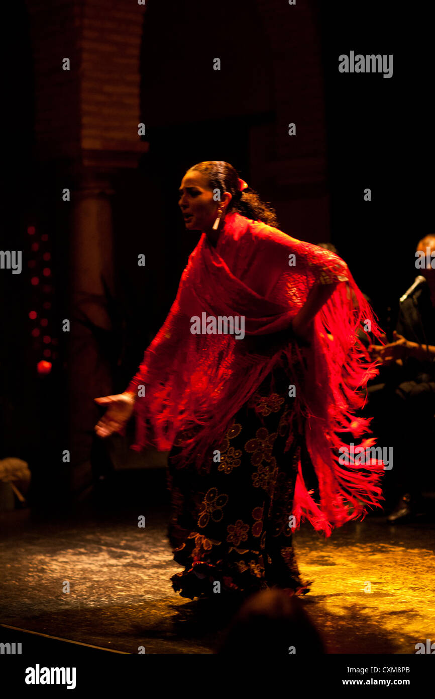 Traditional Flamenco dancing Seville Spain Stock Photo