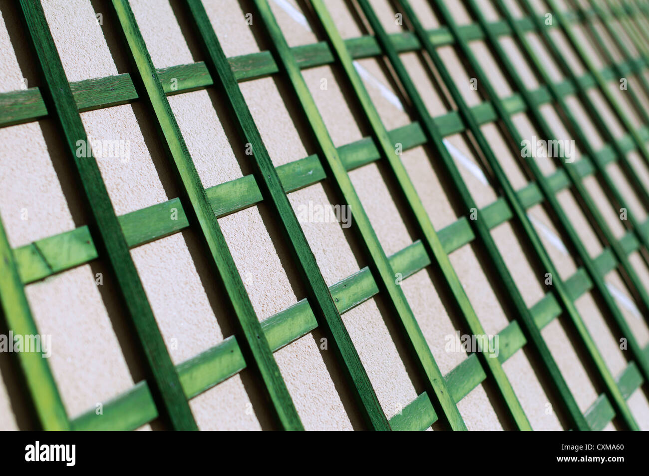 Green wooden lattice wall. Stock Photo