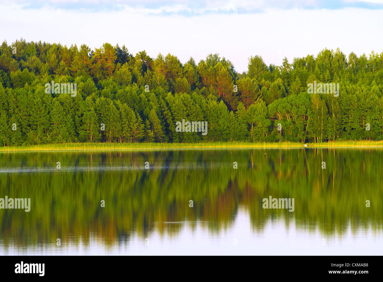 Beautiful lake view with a green trees reflection in the water Stock ...