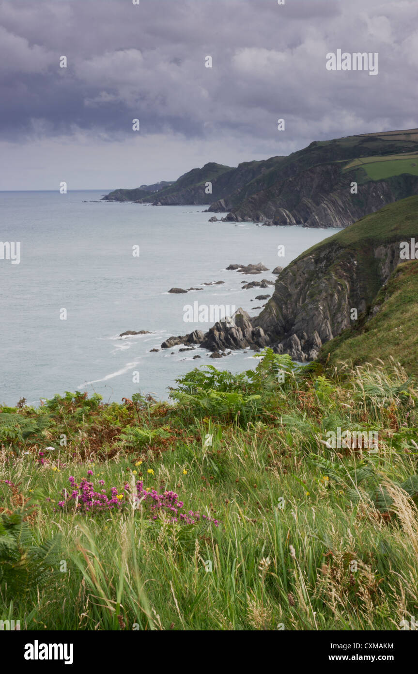 NORTH DEVON COAST Stock Photo