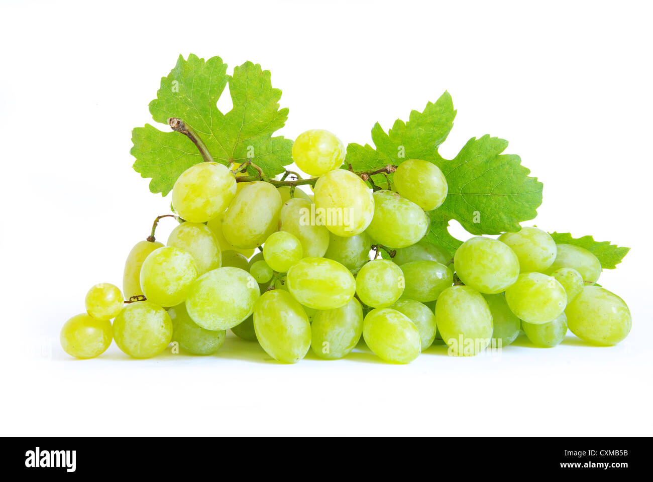 grape with green leaves isolated on white background Stock Photo - Alamy