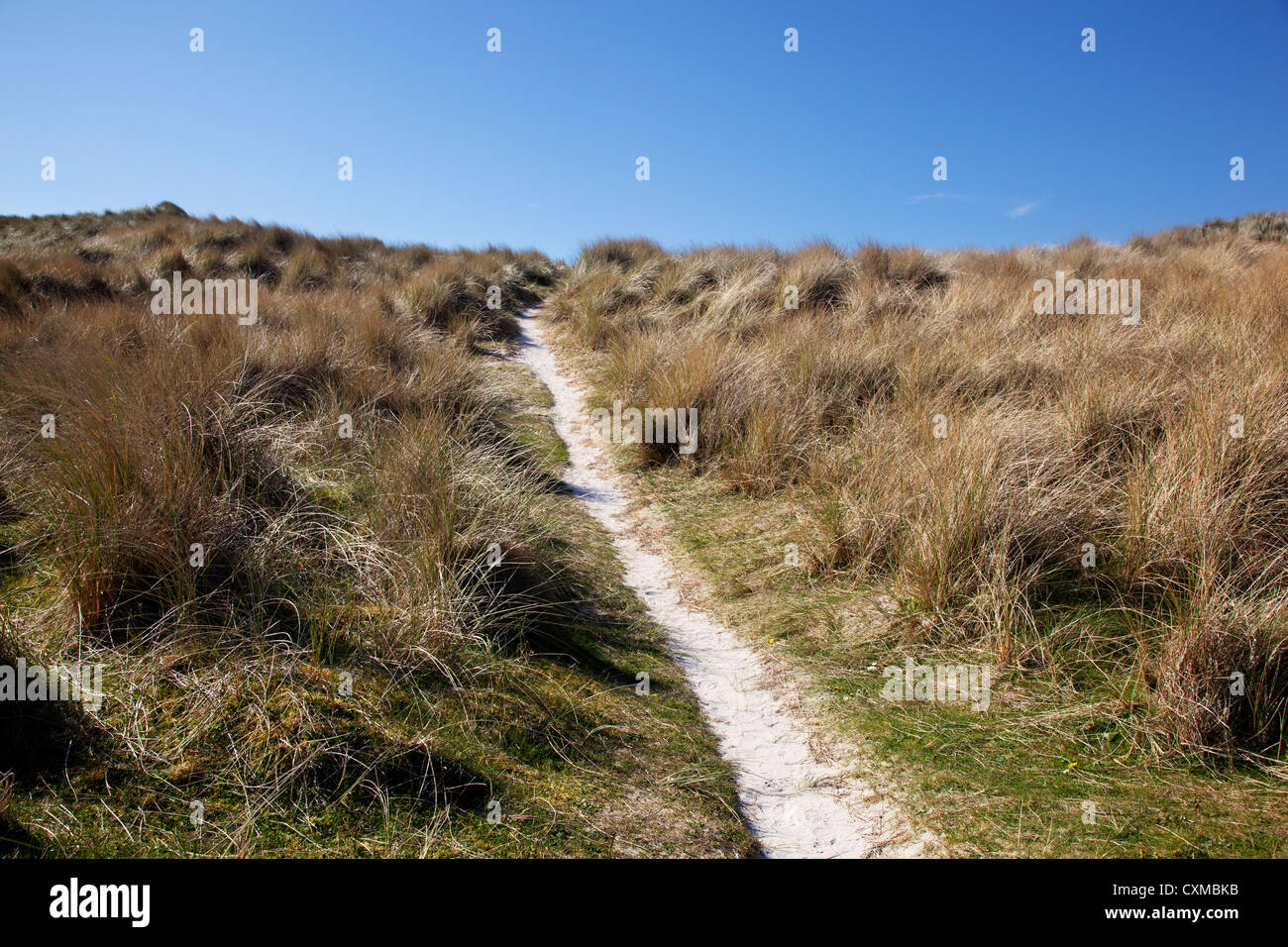 A sandy pathway through machair covered sand dunes towards Traigh Eais on the West coast, Barra, Outer Hebrides, Scotland, UK Stock Photo