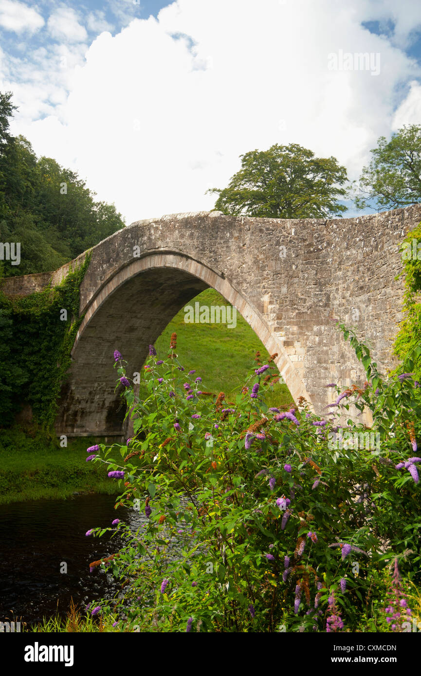 The Brig o' Doon, a late medieval single arched bridge over the River Doon, Alloway, Ayrshire. Scotland.  SCO 8613 Stock Photo