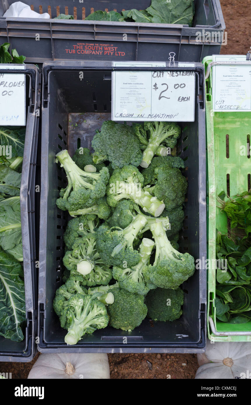 Farmers markets in australia hi-res stock photography and images - Alamy