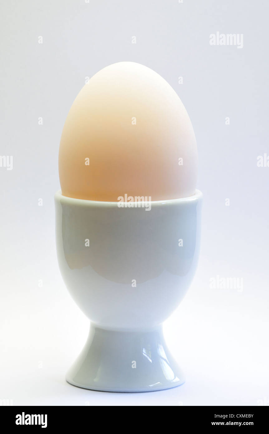 Duck egg in eggcup Stock Photo