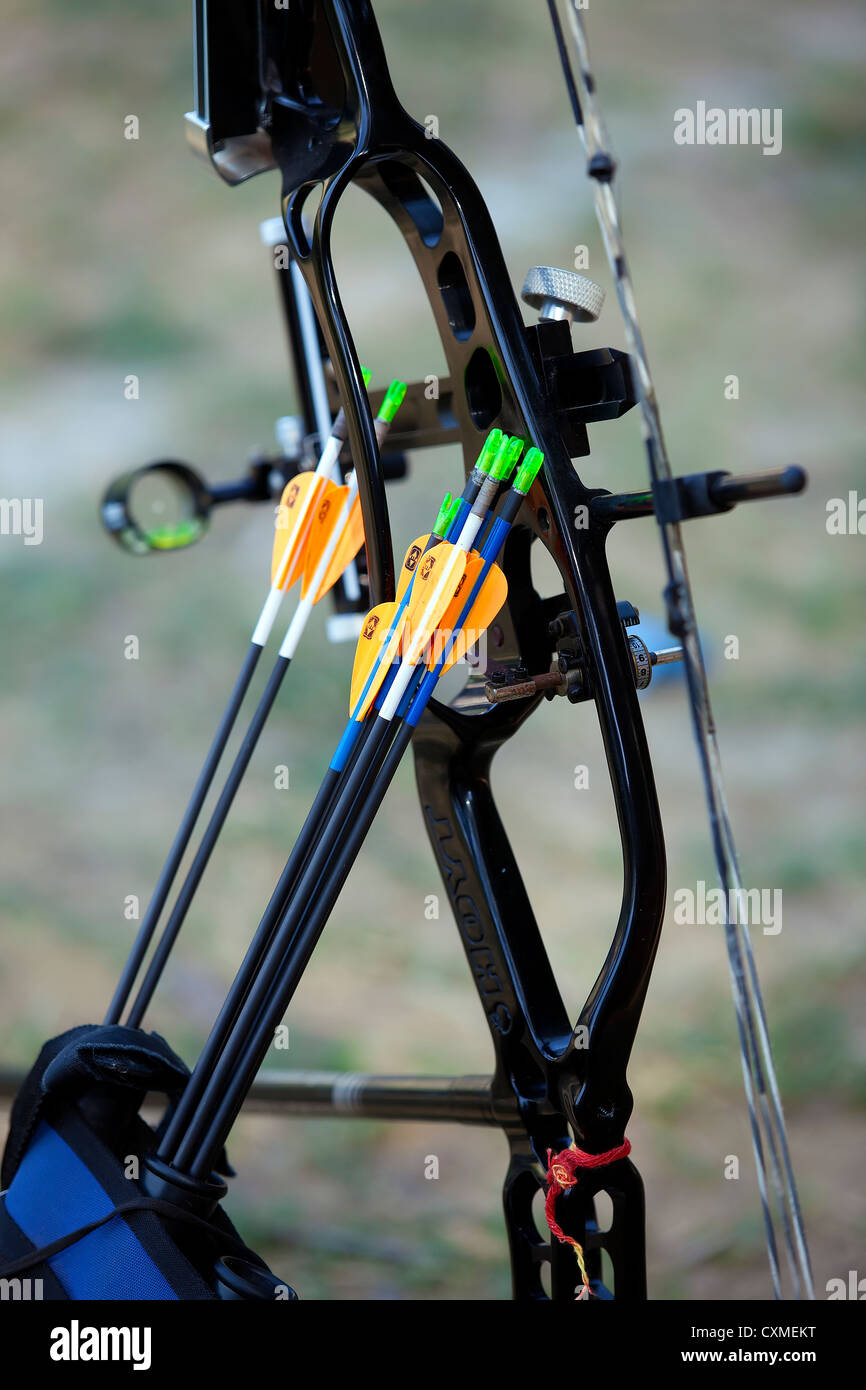 Simple Compound Bow And Arrow