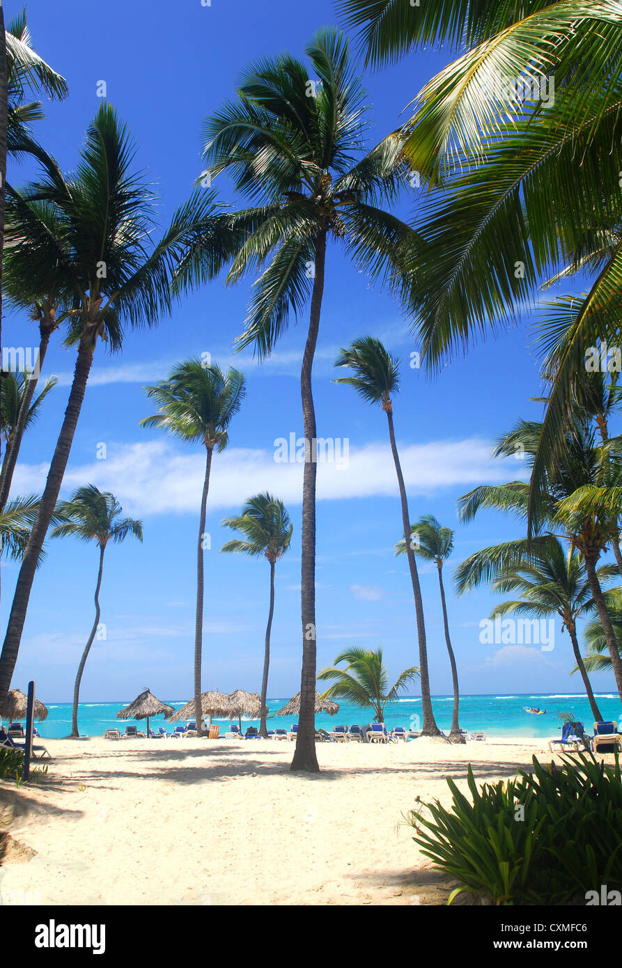 Tropical beach scene in the Dominican Republic Stock Photo