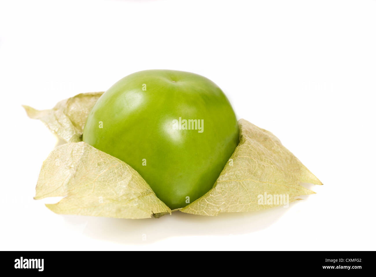 Three fresh tomatillos on a white background Stock Photo
