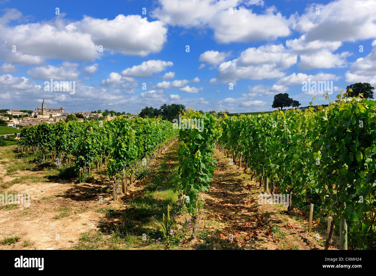Village and vineyard of Saint-Emilion, Gironde, Bordeaux, France, Europe Stock Photo