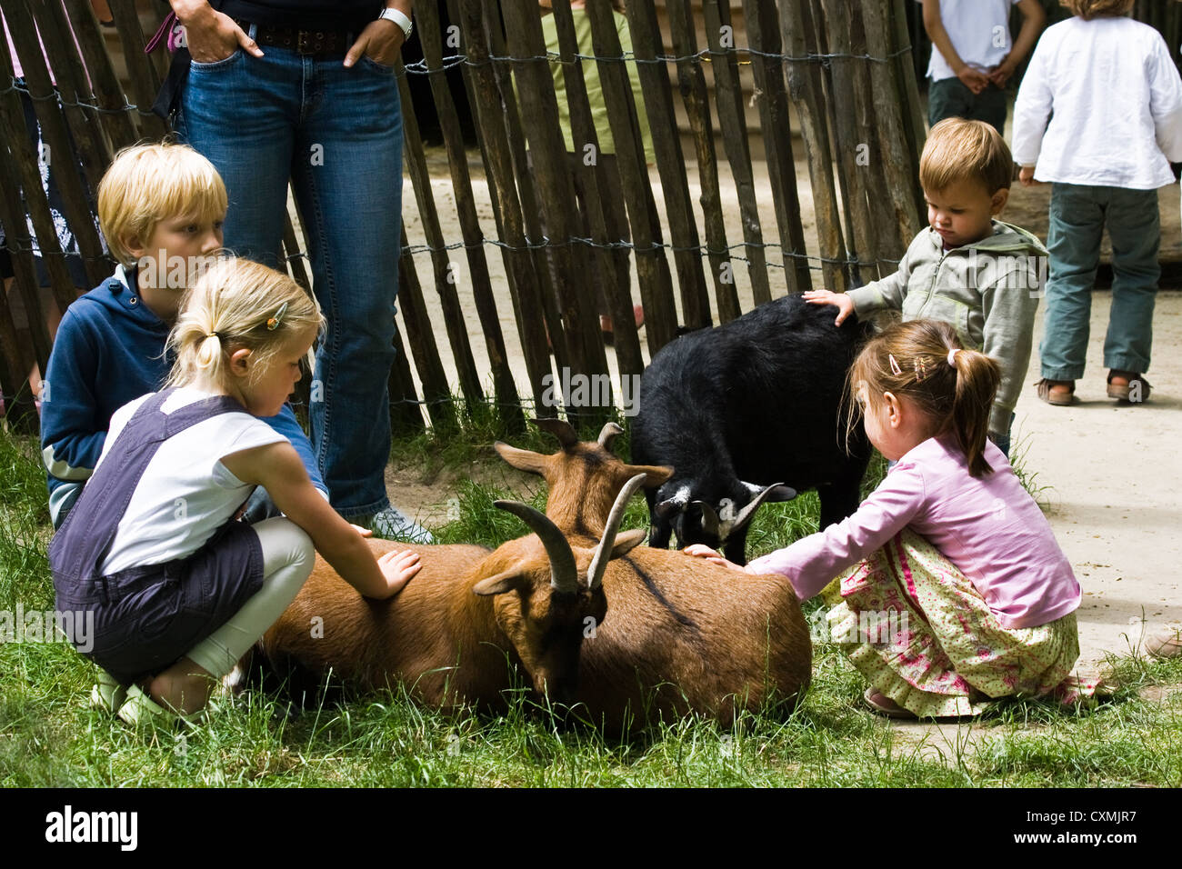 Young children having fun playing with goats in petting zoo Stock Photo