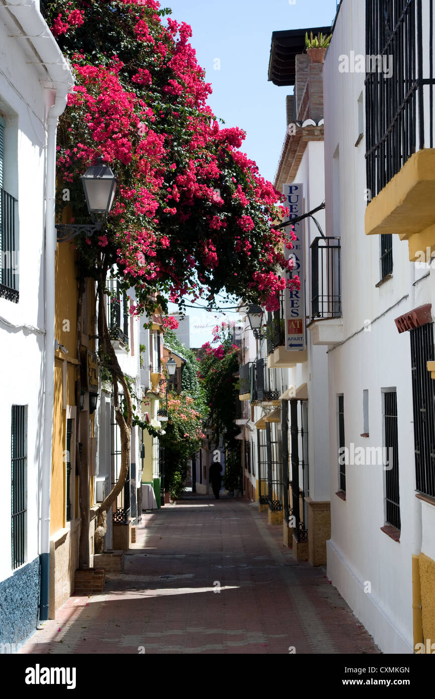 Marbella old town pink flowers street scene Spain Stock Photo - Alamy