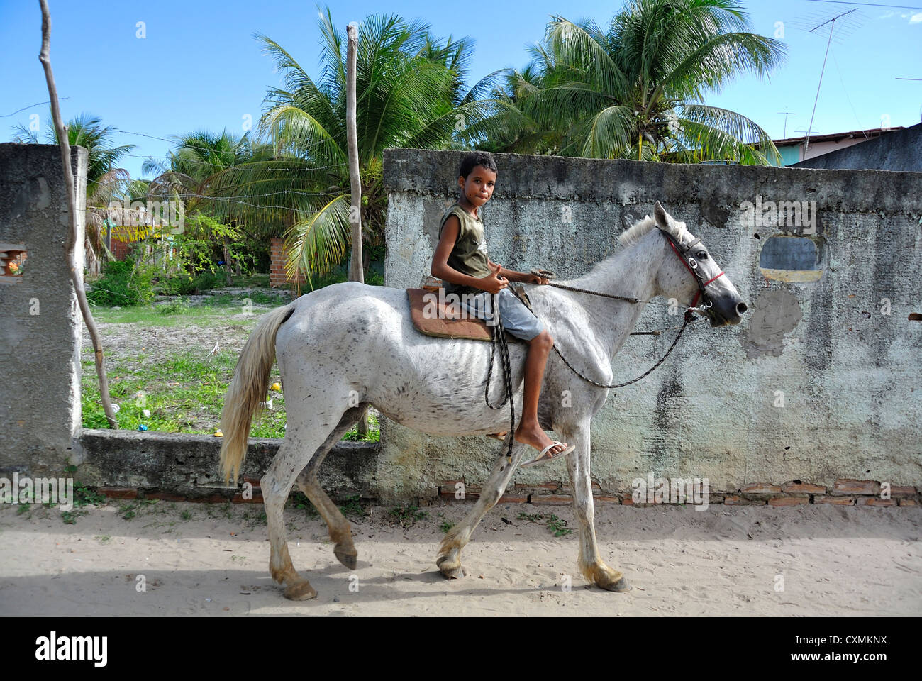 Local kid riding on a white horse, Morro de Sao Paulo, Salvador, Bahia,  Brazil, South America Stock Photo - Alamy, image size:1300x960