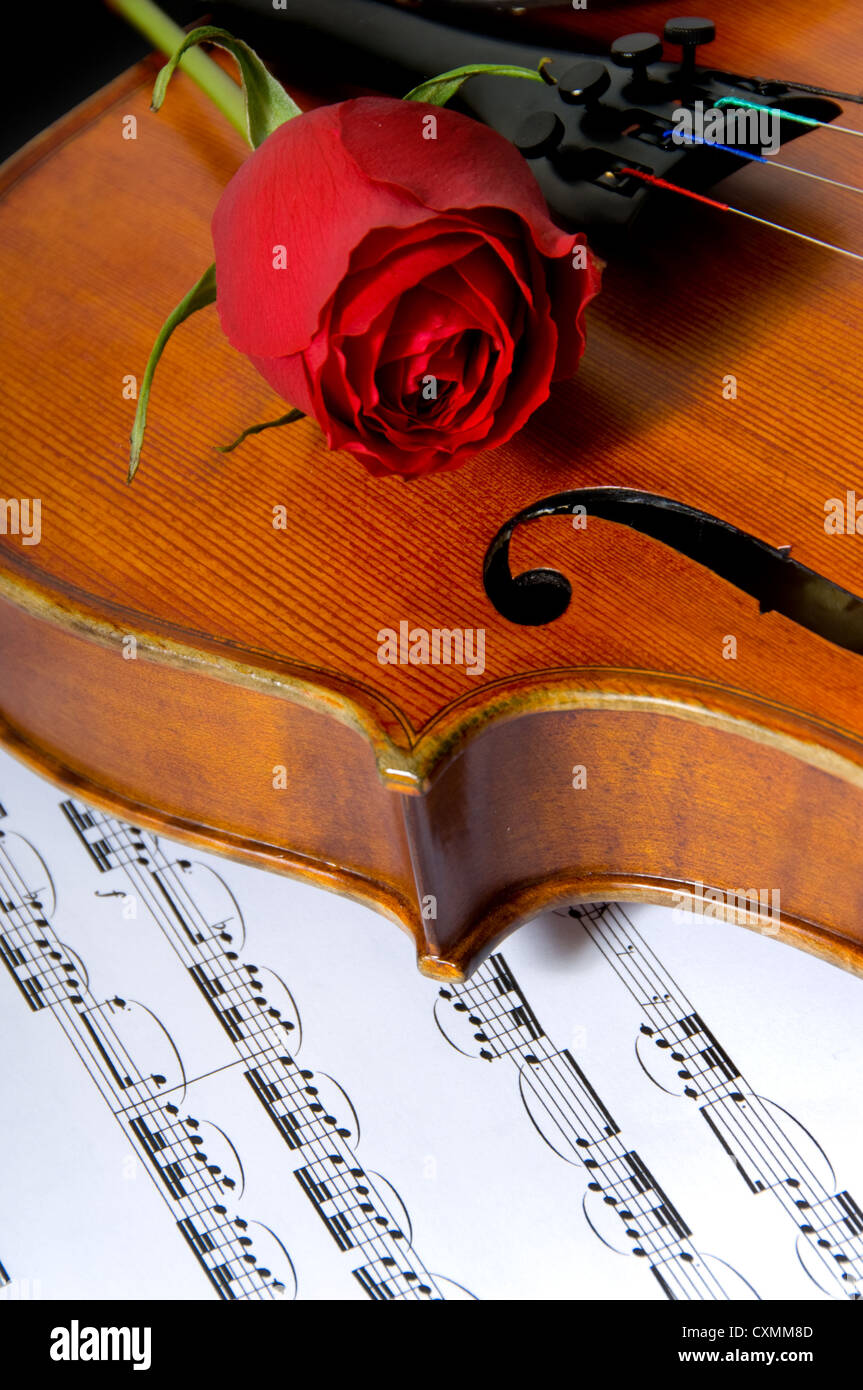 Violin red rose sheet music hi-res stock photography and images - Alamy