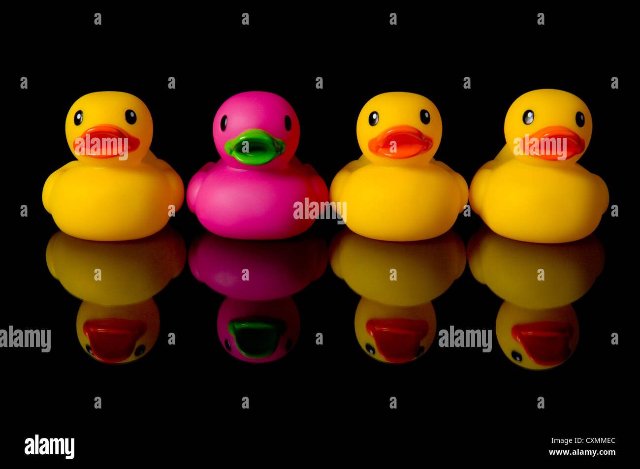 Download Row Of Rubber Ducks One Pink And The Rest Yellow On A Black Stock Photo Alamy PSD Mockup Templates