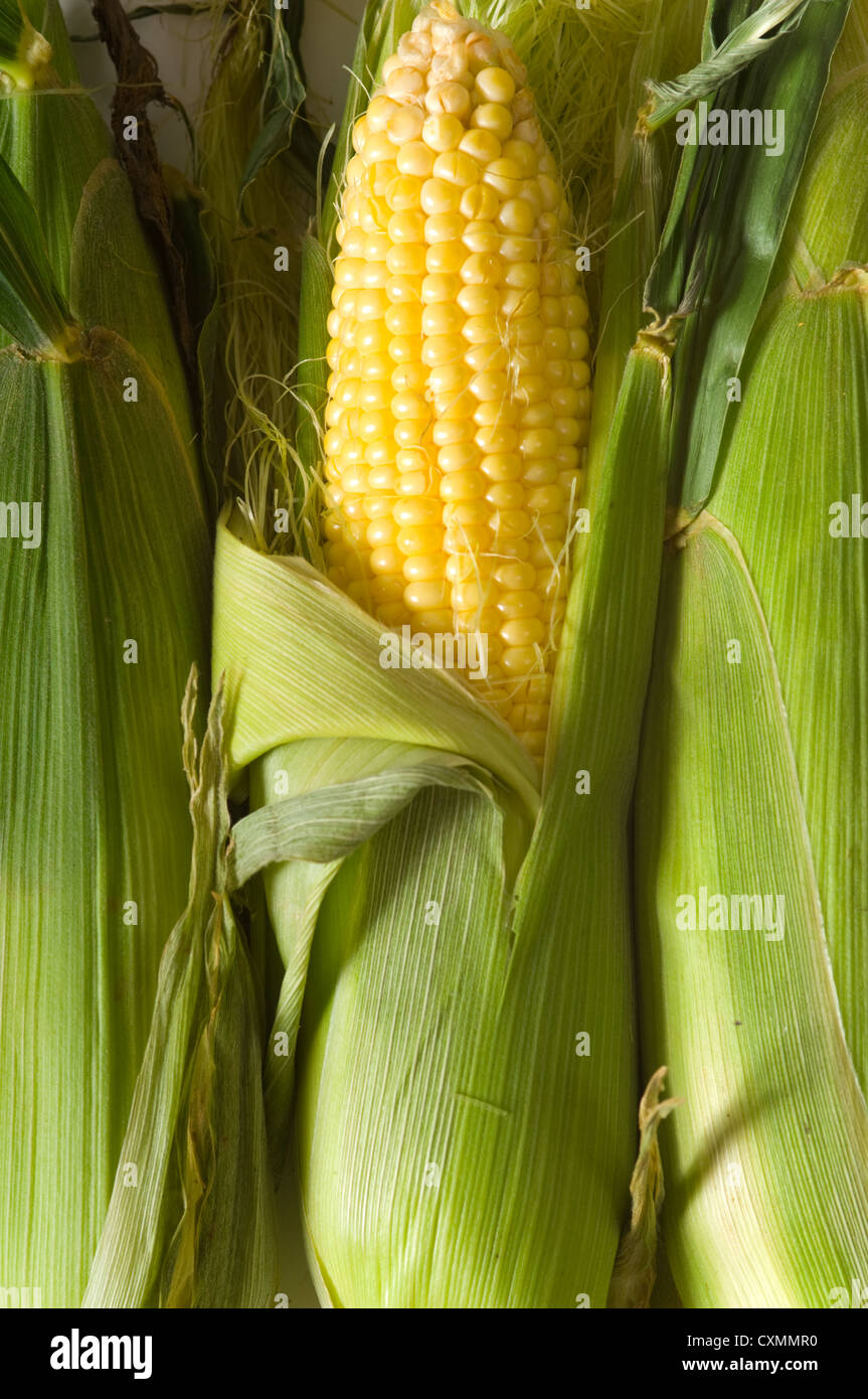 Ears of corn as a background Stock Photo